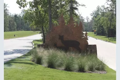 338 Mistletoe Ridge Court, Montgomery, TX 77316 - Photo 21