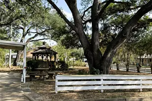 303 E Austin Street E, Bellville, TX 77418 - Photo 7