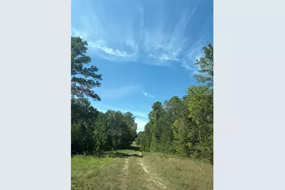 0000 Mocking Bird Lane, Plantersville, TX 77363 - Photo 5