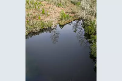 301 Paul Poe Road, Livingston, TX 77351 - Photo 15