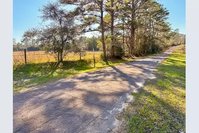 301 Paul Poe Road, Livingston, TX 77351 - Photo 17