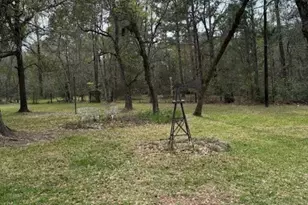 26603 Leafton Ln, Magnolia, TX 77354 - Photo 39