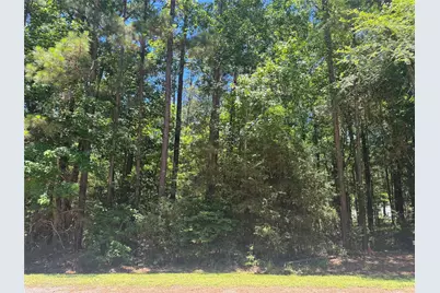69 Sunny Hill Drive, Coldspring, TX 77331 - Photo 1