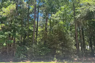 69 Sunny Hill Dr, Coldspring, TX 77331 - Photo 1