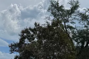 9 Cedar Ln, Huntsville, TX 77320 - Photo 27