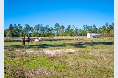 277 County Road 280, Jasper, TX 75951 - Photo 9