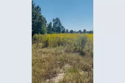 388 County Road 5017, Cleveland, TX 77327 - Photo 5