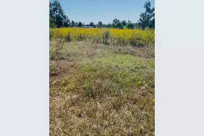 388 County Road 5017, Cleveland, TX 77327 - Photo 3