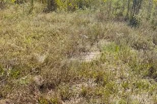 388 County Rd 5017, Cleveland, TX 77327 - Photo 1