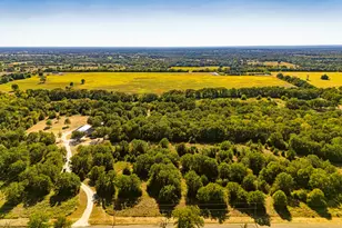 7196 S County Road 458, Normangee, TX 77871 - Photo 3