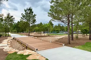 26778 Frontier Trace Drive, Montgomery, TX 77316 - Photo 11