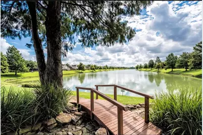 3827 Shady Breeze Drive, Houston, TX 77082 - Photo 17