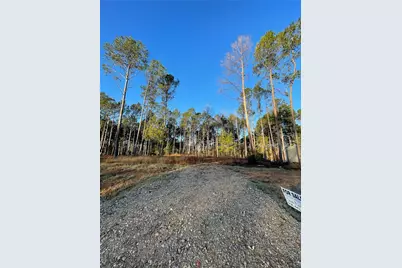 11333 Annie Creek Drive, Willis, TX 77378 - Photo 1