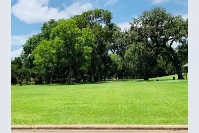 2200 Sunset Oaks Drive, West Columbia, TX 77486 - Photo 1