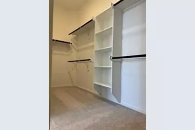26227 Forest Brush Lane, Katy, TX 77493 - Photo 17
