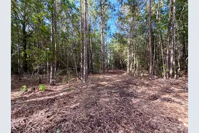 03 Fm 787, Saratoga, TX 77585 - Photo 9