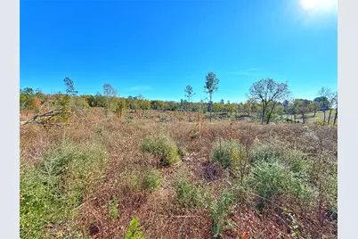 Tract 1 N Farm To Market 2022, Grapeland, TX 75844 - Photo 5