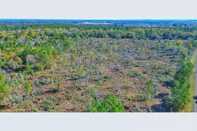 Tract 1 N Farm To Market 2022, Grapeland, TX 75844 - Photo 9