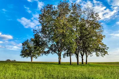 Tbd Sunny Hills, Lot 1 Drive, Chappell Hill, TX 77426 - Photo 15