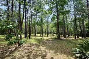 13A-1-1 Texas Grand Rd, Huntsville, TX 77340 - Photo 1