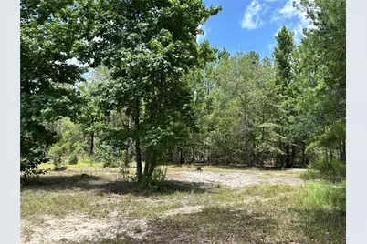1603 Dammom Lane, Kountze, TX 77663 - Photo 27