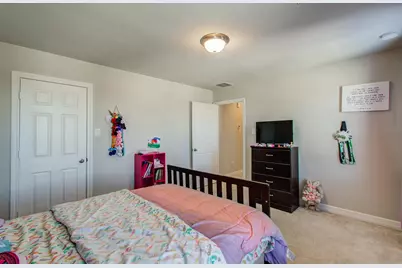 10317 Russell Pines Drive, Rosharon, TX 77583 - Photo 19