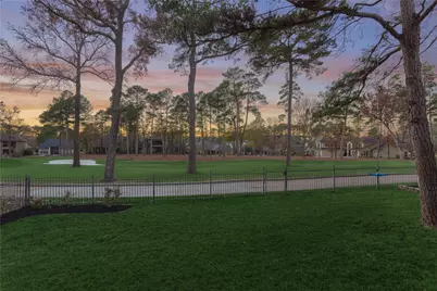 196 W Pines Drive, Montgomery, TX 77356 - Photo 41