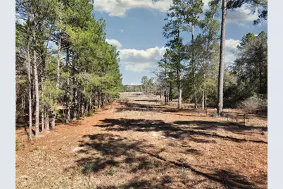 12082 Highway 30, Anderson, TX 77830 - Photo 13