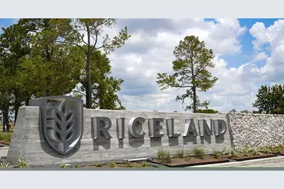 12115 Sweetbriar Loop, Mont Belvieu, TX 77523 - Photo 45