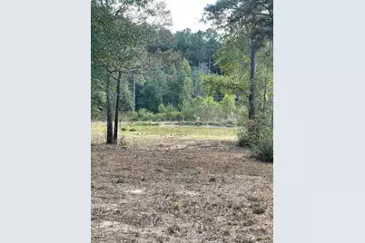 12903 Elrod Street, Conroe, TX 77303 - Photo 45