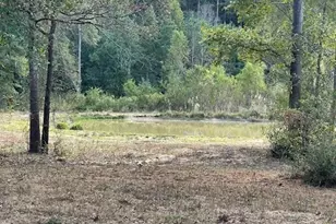 12903 Elrod St, Conroe, TX 77303 - Photo 45