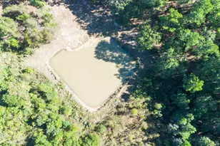 12903 Elrod St, Conroe, TX 77303 - Photo 35