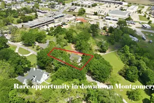 502 Louisa St, Montgomery, TX 77356 - Photo 11