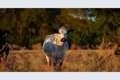 T-9 Providence Road, Calvert, TX 77837 - Photo 25