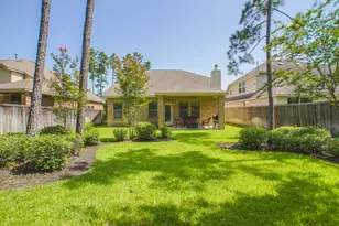 166 Tortoise Creek Way, Spring, TX 77389 - Photo 45