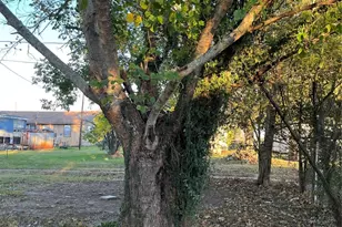 305 7th St, Rosenberg, TX 77471 - Photo 11