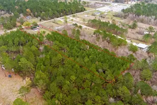 247 County Rd 688, Dayton, TX 77535 - Photo 3