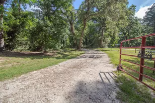 14285 S State Hwy 19, Elkhart, TX 75839 - Photo 3