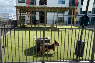 3550 Main St, Houston, TX 77002 - Photo 37