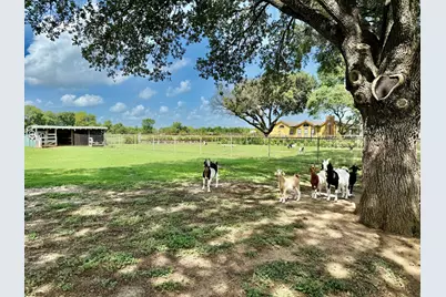 37110 Donigan Road, Brookshire, TX 77423 - Photo 17