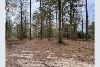 Tbd County Road 1520, Warren, TX 77664 - Photo 5