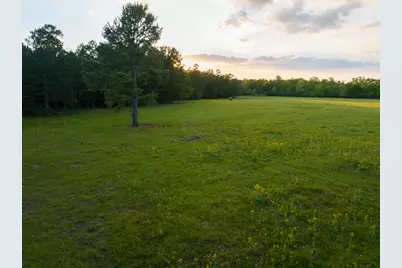 000 Fm 1696, Huntsville, TX 77340 - Photo 5