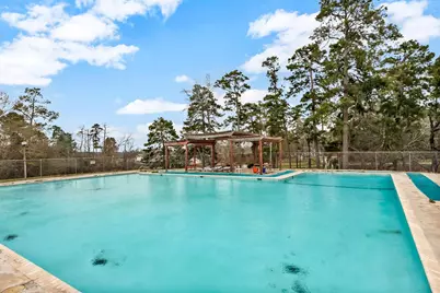 000 Dove Island, Livingston, TX 77351 - Photo 3