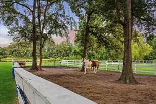 39414 Lago Dr, Magnolia, TX 77354 - Photo 41