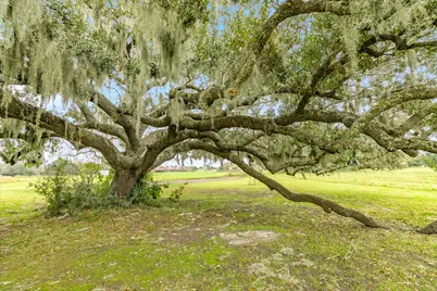 1132 Mill Road, Angleton, TX 77515 - Photo 37