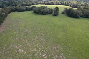 Tbd-A County Road 435, Frankston, TX 75763 - Photo 7