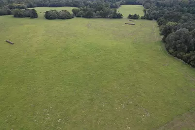 Tbd-A County Road 435, Frankston, TX 75763 - Photo 3