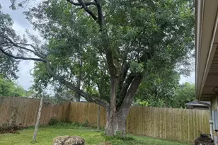 10107 Hollow Canyon Dr, Sugar Land, TX 77498 - Photo 13