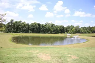 216 Lantana Ln, Huntsville, TX 77340 - Photo 43