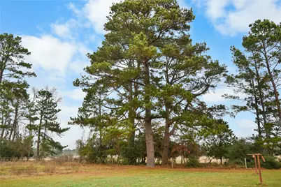 7530 Fm 227 W, Grapeland, TX 75844 - Photo 31